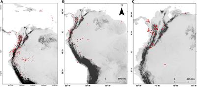 The Tracking of Moist Habitats Allowed Aiphanes (Arecaceae) to Cover the Elevation Gradient of the Northern Andes